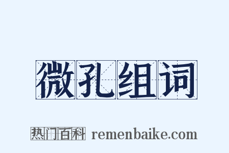 微孔组词是什么意思的图片